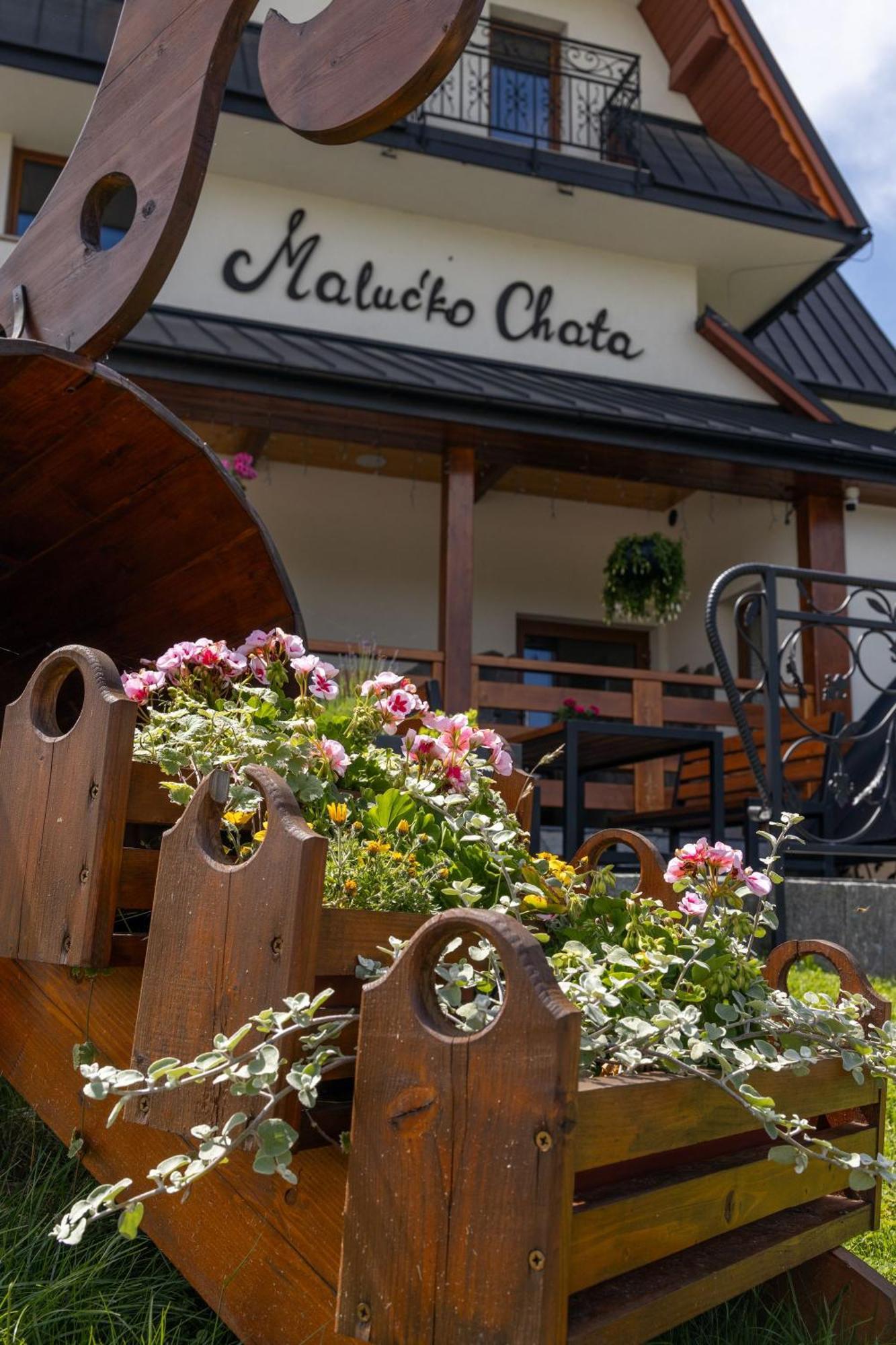 „Malucko Chata” Zakopane Kültér fotó