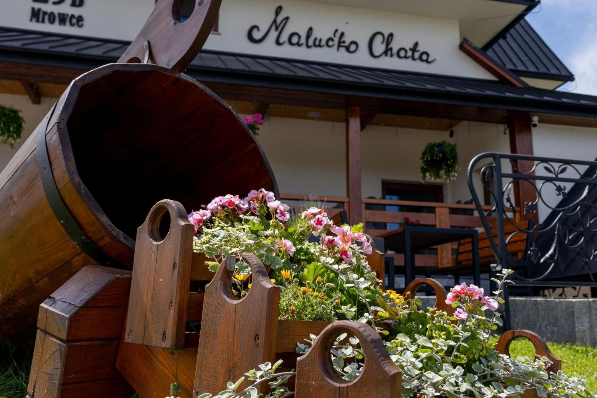„Malucko Chata” Zakopane Kültér fotó